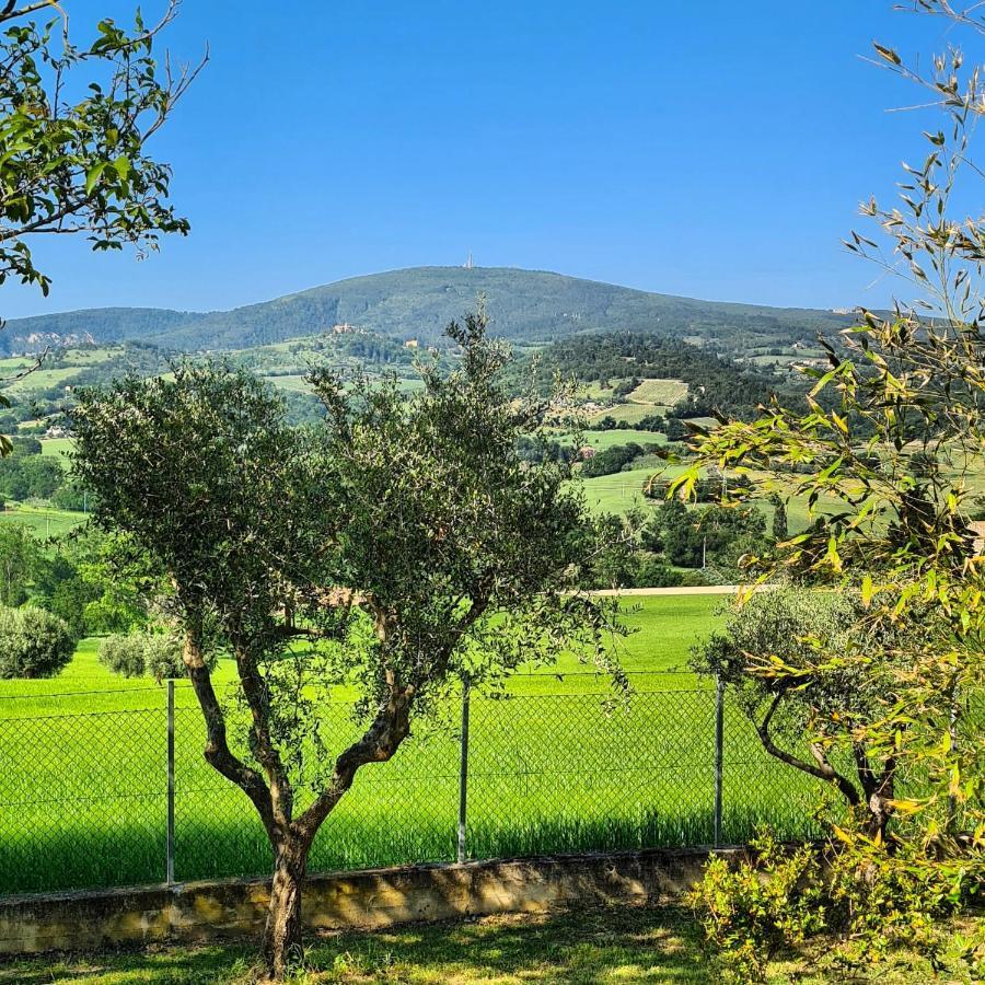 Guarda Conero Apartment Camerano Dış mekan fotoğraf